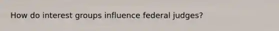 How do interest groups influence federal judges?