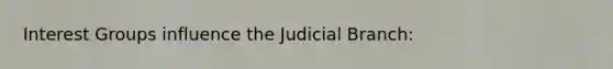 Interest Groups influence the Judicial Branch: