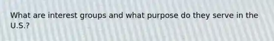 What are interest groups and what purpose do they serve in the U.S.?