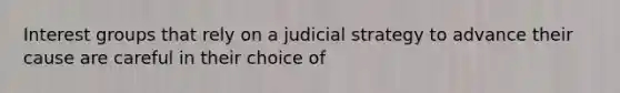 Interest groups that rely on a judicial strategy to advance their cause are careful in their choice of