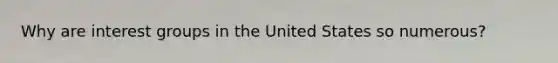 Why are interest groups in the United States so numerous?