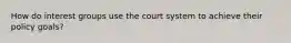 How do interest groups use the court system to achieve their policy goals?