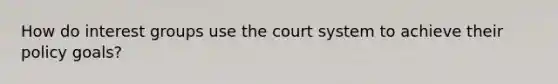 How do interest groups use the court system to achieve their policy goals?