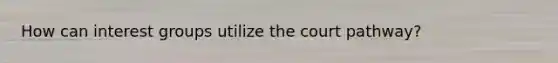 How can interest groups utilize the court pathway?