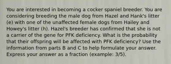 You are interested in becoming a cocker spaniel breeder. You are considering breeding the male dog from Hazel and Hank's litter (e) with one of the unaffected female dogs from Hailey and Howey's litter (h). Hazel's breeder has confirmed that she is not a carrier of the gene for PFK deficiency. What is the probability that their offspring will be affected with PFK deficiency? Use the information from parts B and C to help formulate your answer. Express your answer as a fraction (example: 3/5).