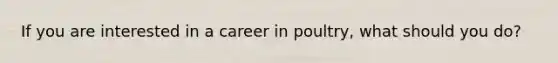 If you are interested in a career in poultry, what should you do?