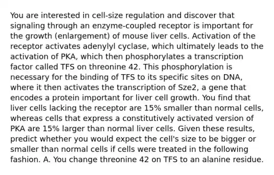 You are interested in cell-size regulation and discover that signaling through an enzyme-coupled receptor is important for the growth (enlargement) of mouse liver cells. Activation of the receptor activates adenylyl cyclase, which ultimately leads to the activation of PKA, which then phosphorylates a transcription factor called TFS on threonine 42. This phosphorylation is necessary for the binding of TFS to its specific sites on DNA, where it then activates the transcription of Sze2, a gene that encodes a protein important for liver cell growth. You find that liver cells lacking the receptor are 15% smaller than normal cells, whereas cells that express a constitutively activated version of PKA are 15% larger than normal liver cells. Given these results, predict whether you would expect the cell's size to be bigger or smaller than normal cells if cells were treated in the following fashion. A. You change threonine 42 on TFS to an alanine residue.