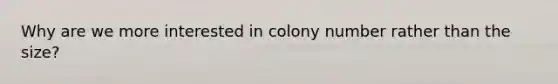 Why are we more interested in colony number rather than the size?