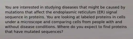 You are interested in studying diseases that might be caused by mutations that affect the endoplasmic reticulum (ER) signal sequence in proteins. You are looking at labeled proteins in cells under a microscope and comparing cells from people with and without disease conditions. Where do you expect to find proteins that have mutated sequences?