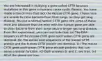 You are interested in studying a gene called CFTR because mutations in this gene in humans cause cystic fibrosis. You have made a line of mice that lack the mouse CFTR gene. These mice are unable to clear bacteria from their lungs, so they get lung disease. You put a normal human CFTR gene into some of these mice and discover that the mice with the human gene are able to clear bacteria from their lungs and no longer get lung disease. From this experiment, you can conclude that: (a) The DNA sequences of the mouse CFTR gene and human CFTR gene are identical. (b) The amino acid sequences of the mouse CFTR protein and the human CFTR protein are identical. (c) The mouse CFTR gene and human CFTR gene encode proteins that can serve a similar function. (d) Both answers B. and C. are true. (e) All of the above are true.