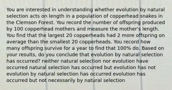 You are interested in understanding whether evolution by natural selection acts on length in a population of copperhead snakes in the Clemson Forest. You record the number of offspring produced by 100 copperhead mothers and measure the mother's length. You find that the largest 20 copperheads had 2 more offspring on average than the smallest 20 copperheads. You record how many offspring survive for a year to find that 100% do. Based on your results, do you conclude that evolution by natural selection has occurred? neither natural selection nor evolution have occurred natural selection has occurred but evolution has not evolution by natural selection has occurred evolution has occurred but not necessarily by natural selection