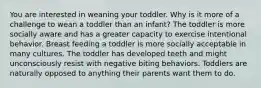 You are interested in weaning your toddler. Why is it more of a challenge to wean a toddler than an infant? The toddler is more socially aware and has a greater capacity to exercise intentional behavior. Breast feeding a toddler is more socially acceptable in many cultures. The toddler has developed teeth and might unconsciously resist with negative biting behaviors. Toddlers are naturally opposed to anything their parents want them to do.