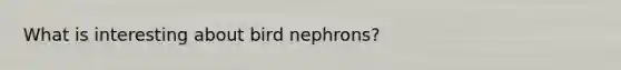 What is interesting about bird nephrons?