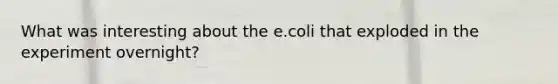 What was interesting about the e.coli that exploded in the experiment overnight?