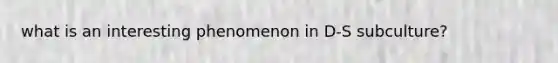 what is an interesting phenomenon in D-S subculture?