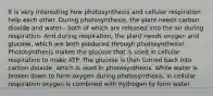 It is very interesting how photosynthesis and cellular respiration help each other. During photosynthesis, the plant needs carbon dioxide and water-- both of which are released into the air during respiration. And during respiration, the plant needs oxygen and glucose, which are both produced through photosynthesis! Photosynthesis makes the glucose that is used in cellular respiration to make ATP. The glucose is then turned back into carbon dioxide, which is used in photosynthesis. While water is broken down to form oxygen during photosynthesis, in cellular respiration oxygen is combined with hydrogen to form water