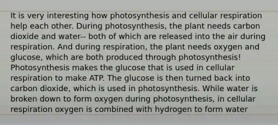 It is very interesting how photosynthesis and cellular respiration help each other. During photosynthesis, the plant needs carbon dioxide and water-- both of which are released into the air during respiration. And during respiration, the plant needs oxygen and glucose, which are both produced through photosynthesis! Photosynthesis makes the glucose that is used in cellular respiration to make ATP. The glucose is then turned back into carbon dioxide, which is used in photosynthesis. While water is broken down to form oxygen during photosynthesis, in cellular respiration oxygen is combined with hydrogen to form water