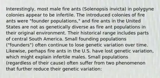 Interestingly, most male fire ants (Solenopsis invicta) in polygyne colonies appear to be infertile. The introduced colonies of fire ants were "founder populations," and fire ants in the United States are not as genetically diverse as fire ant populations in their original environment. Their historical range includes parts of central South America. Small founding populations ("founders") often continue to lose genetic variation over time. Likewise, perhaps fire ants in the U.S. have lost genetic variation, which might explain infertile males. Small populations (regardless of their cause) often suffer from two phenomenon that further reduce their genetic variation: