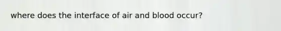 where does the interface of air and blood occur?