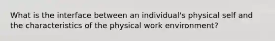 What is the interface between an individual's physical self and the characteristics of the physical work environment?