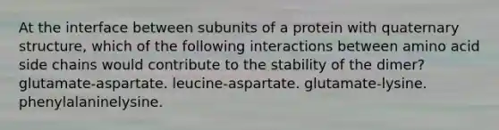 At the interface between subunits of a protein with quaternary structure, which of the following interactions between amino acid side chains would contribute to the stability of the dimer? glutamate-aspartate. leucine-aspartate. glutamate-lysine. phenylalaninelysine.