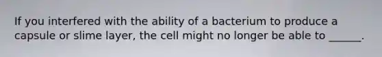 If you interfered with the ability of a bacterium to produce a capsule or slime layer, the cell might no longer be able to ______.