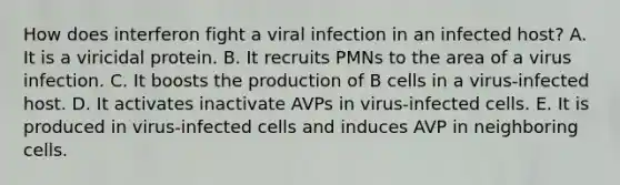 How does interferon fight a viral infection in an infected host? A. It is a viricidal protein. B. It recruits PMNs to the area of a virus infection. C. It boosts the production of B cells in a virus-infected host. D. It activates inactivate AVPs in virus-infected cells. E. It is produced in virus-infected cells and induces AVP in neighboring cells.