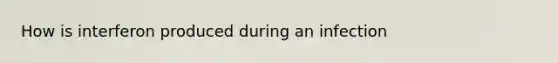 How is interferon produced during an infection