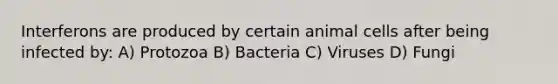 Interferons are produced by certain animal cells after being infected by: A) Protozoa B) Bacteria C) Viruses D) Fungi