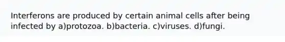 Interferons are produced by certain animal cells after being infected by a)protozoa. b)bacteria. c)viruses. d)fungi.