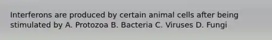 Interferons are produced by certain animal cells after being stimulated by A. Protozoa B. Bacteria C. Viruses D. Fungi