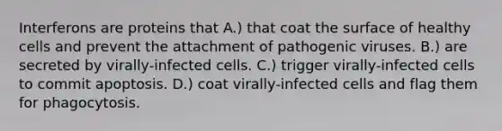 Interferons are proteins that A.) that coat the surface of healthy cells and prevent the attachment of pathogenic viruses. B.) are secreted by virally-infected cells. C.) trigger virally-infected cells to commit apoptosis. D.) coat virally-infected cells and flag them for phagocytosis.