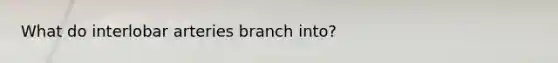 What do interlobar arteries branch into?