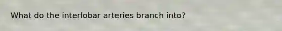 What do the interlobar arteries branch into?