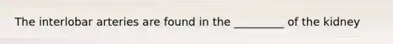The interlobar arteries are found in the _________ of the kidney