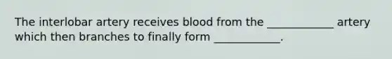 The interlobar artery receives blood from the ____________ artery which then branches to finally form ____________.