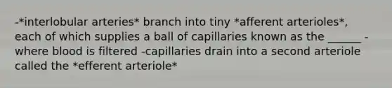 -*interlobular arteries* branch into tiny *afferent arterioles*, each of which supplies a ball of capillaries known as the ______ -where blood is filtered -capillaries drain into a second arteriole called the *efferent arteriole*