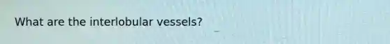 What are the interlobular vessels?