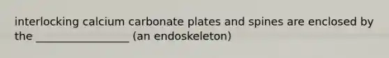 interlocking calcium carbonate plates and spines are enclosed by the _________________ (an endoskeleton)