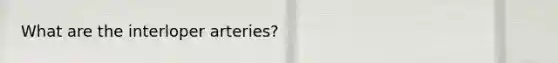 What are the interloper arteries?