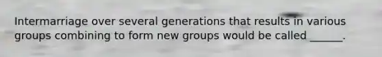 Intermarriage over several generations that results in various groups combining to form new groups would be called ______.