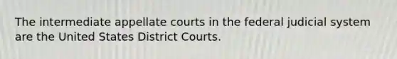 The intermediate appellate courts in the federal judicial system are the United States District Courts.