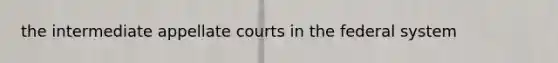 the intermediate appellate courts in the federal system