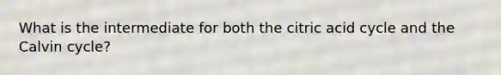 What is the intermediate for both the citric acid cycle and the Calvin cycle?