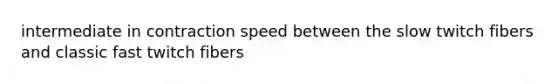 intermediate in contraction speed between the slow twitch fibers and classic fast twitch fibers