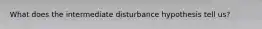 What does the intermediate disturbance hypothesis tell us?