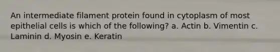 An intermediate filament protein found in cytoplasm of most epithelial cells is which of the following? a. Actin b. Vimentin c. Laminin d. Myosin e. Keratin