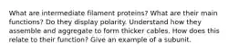 What are intermediate filament proteins? What are their main functions? Do they display polarity. Understand how they assemble and aggregate to form thicker cables. How does this relate to their function? Give an example of a subunit.