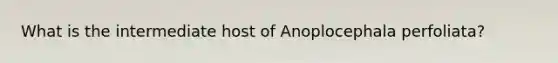 What is the intermediate host of Anoplocephala perfoliata?