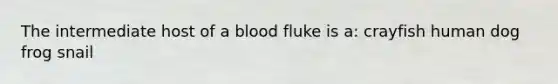 The intermediate host of a blood fluke is a: crayfish human dog frog snail